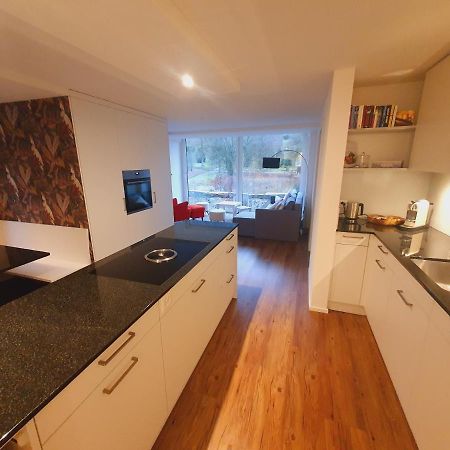 Neue Wohnung An Stadtrand Mit Parkplatz Ebikon ภายนอก รูปภาพ