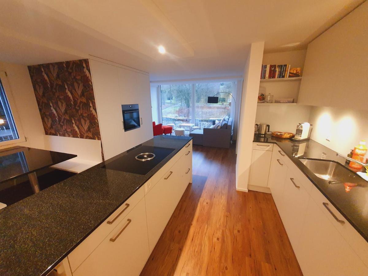 Neue Wohnung An Stadtrand Mit Parkplatz Ebikon ภายนอก รูปภาพ