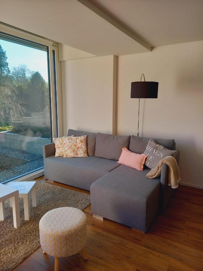 Neue Wohnung An Stadtrand Mit Parkplatz Ebikon ภายนอก รูปภาพ