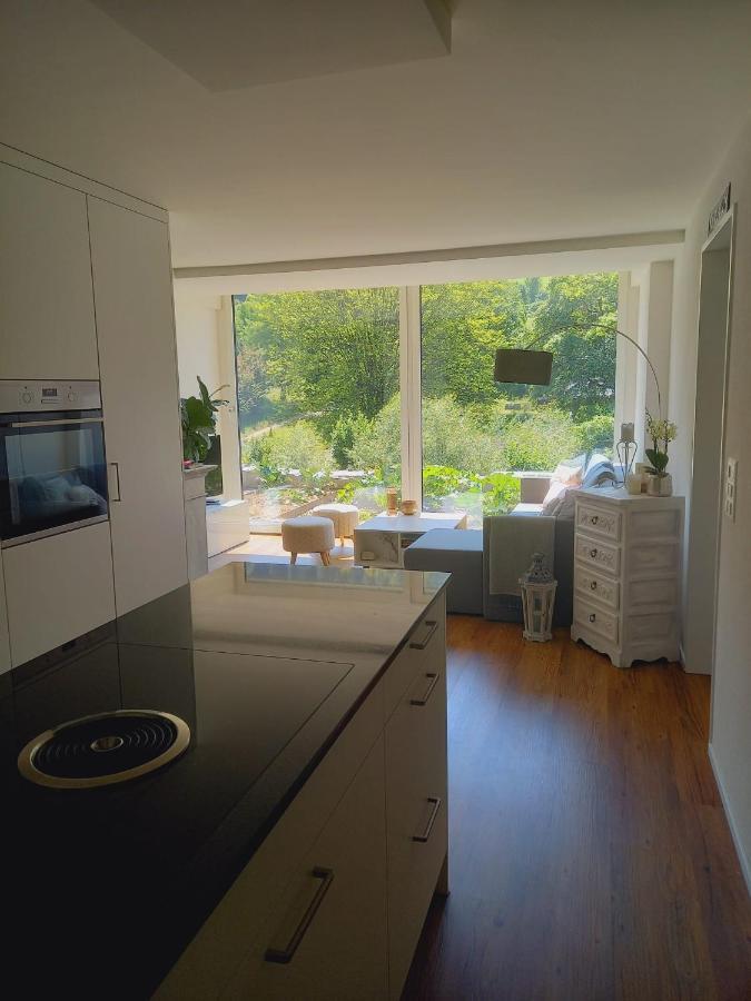 Neue Wohnung An Stadtrand Mit Parkplatz Ebikon ภายนอก รูปภาพ