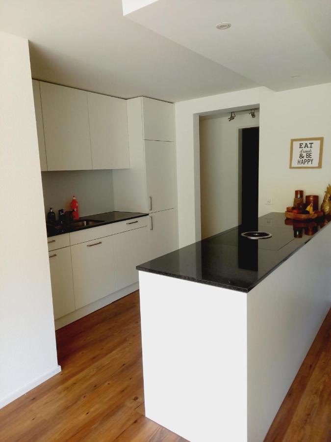 Neue Wohnung An Stadtrand Mit Parkplatz Ebikon ภายนอก รูปภาพ